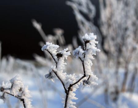 本周山西省大風(fēng)雨雪輪番登場(chǎng)