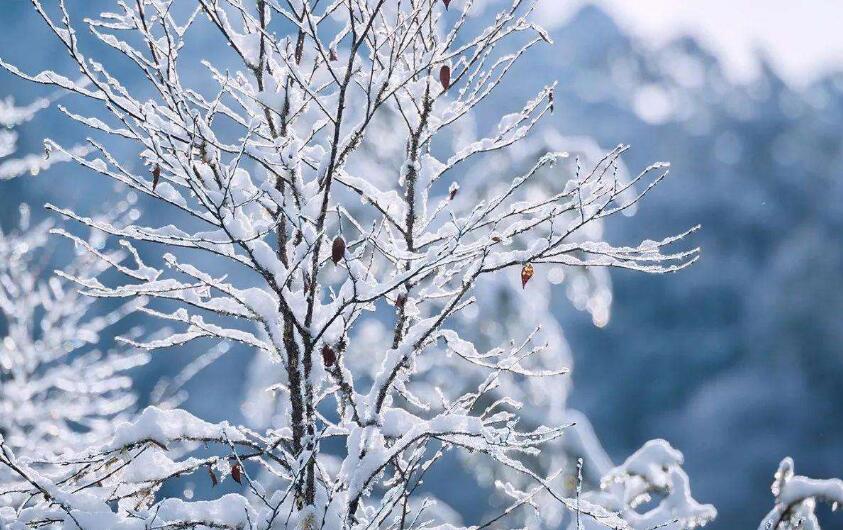 12月10日至12日，山西將出現(xiàn)雨雪、大風(fēng)、降溫天氣