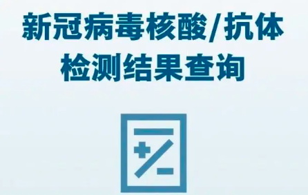 偽造核酸報告 一影音工作室老板獲刑一年半