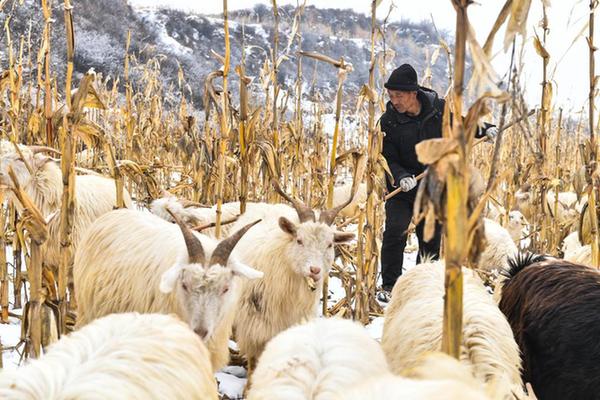 呂梁山村：抓產(chǎn)業(yè)、促增收、固成果