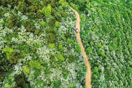 生態(tài)氧吧