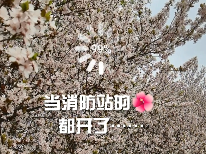 這樣的“藍朋友”你愛了嗎？