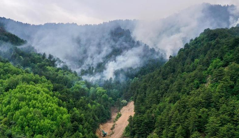 山西黑茶山山火明火基本撲滅