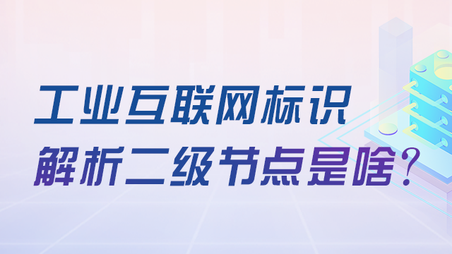 工業(yè)互聯(lián)網(wǎng)標(biāo)識(shí)解析二級(jí)節(jié)點(diǎn)是啥？