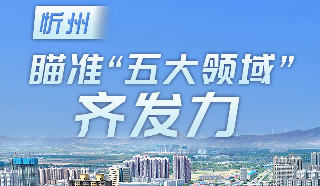 忻州瞄準(zhǔn)“五大領(lǐng)域”齊發(fā)力