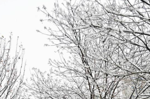 雨雪天氣再次亮相山西