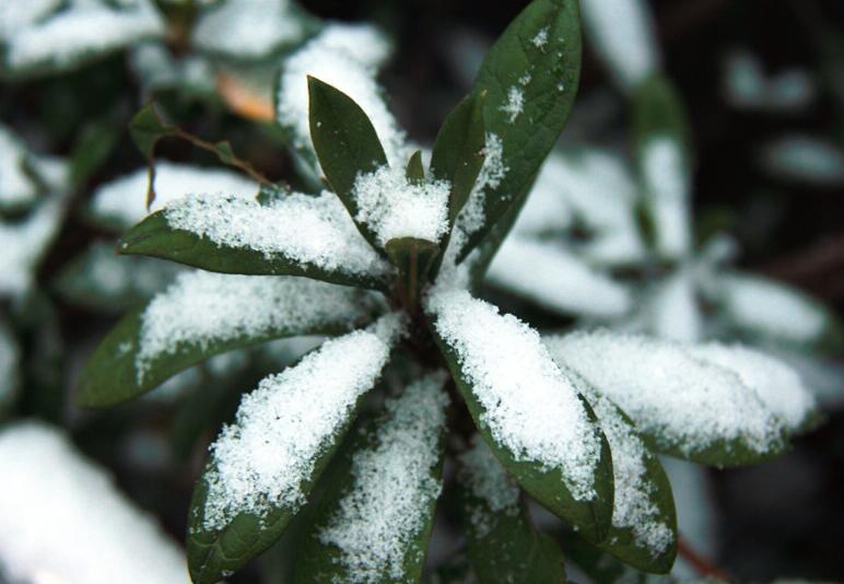 2月21日—22日，山西將有一次雨雪天氣過程