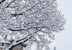 本該干冷為何雨水充沛？2月的天氣有點(diǎn)“多情”