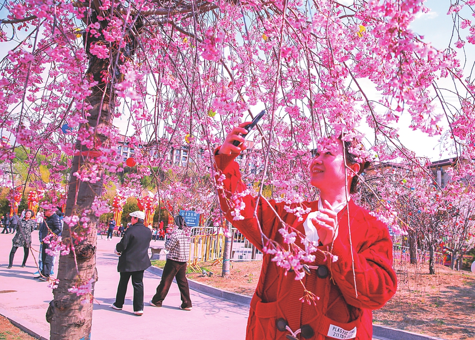 山西中部城市群賞花季啟動(dòng) 請(qǐng)收好這份賞花線路圖