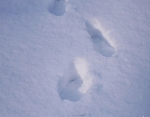 局地降雪量超20毫米 山西再發(fā)暴雪黃色預警